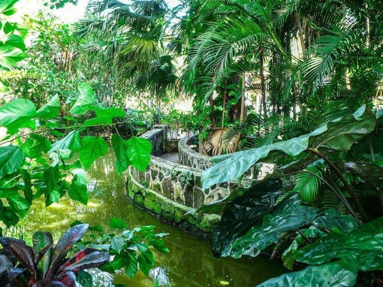 ardastra gardens zoo5 768x576