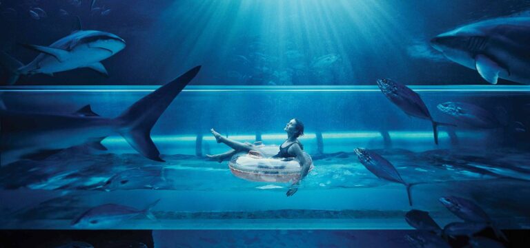 fc819bfdff72525506c4d5e7aa31ca84 768x360