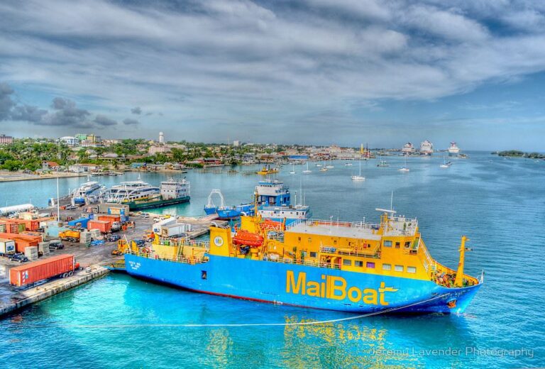 292332431 408063761340100 2271023165229700149 n 768x520