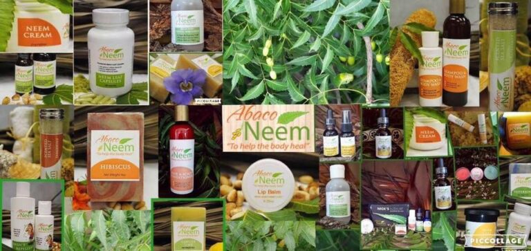 305768198 460732829412466 5898150816688633743 n 768x363