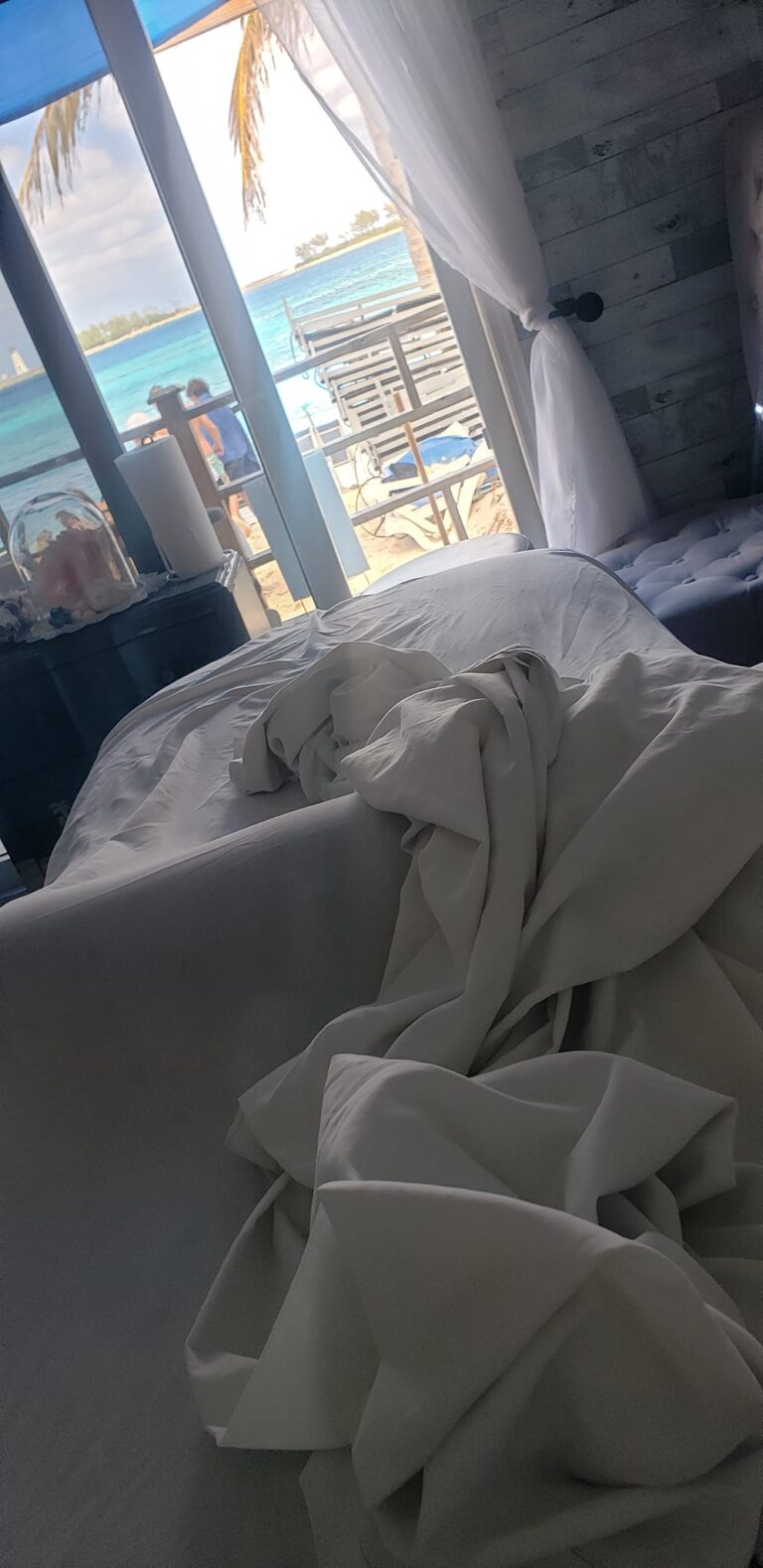 336064829 1265095067750332 3782026775350728053 n 768x1579