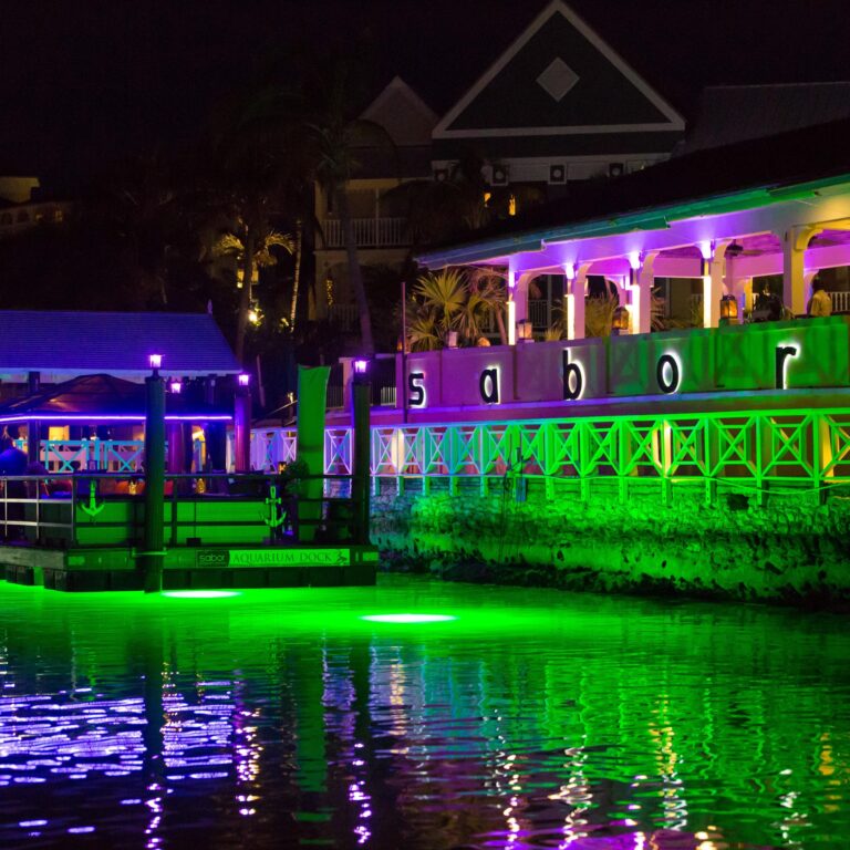 365738938 853884259596941 9060146494488198270 n 1 768x768