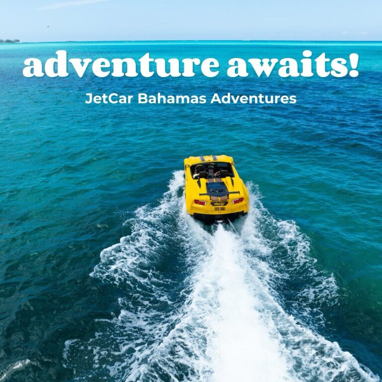 447447015 17866663344115026 6650820932846639686 n 768x768