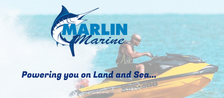 Screenshot 2024 07 24 174219 768x335