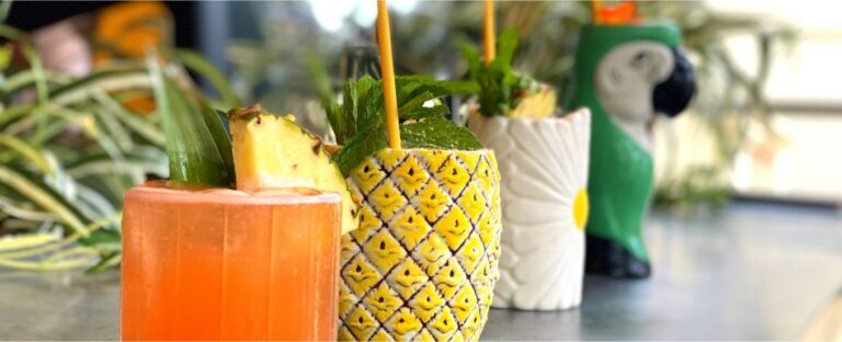 Untitled 5 scaled e1637365963115 768x312