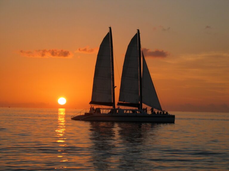 420125004 862449342552580 5450424654693720018 n 768x576