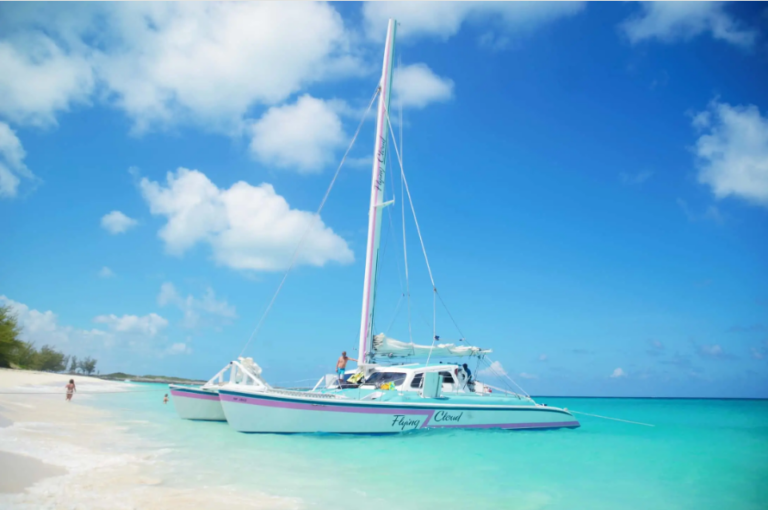 Screenshot 2024 09 09 140050 768x510