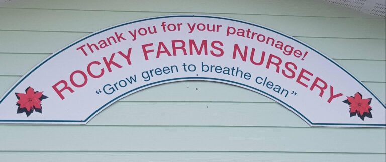 308822966 469732891867366 4323781015746225831 n 768x323