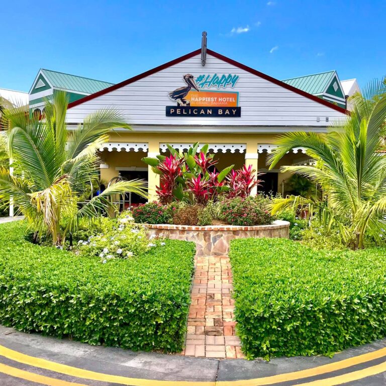 315028640 833368054582834 6593794462806559060 n 768x768