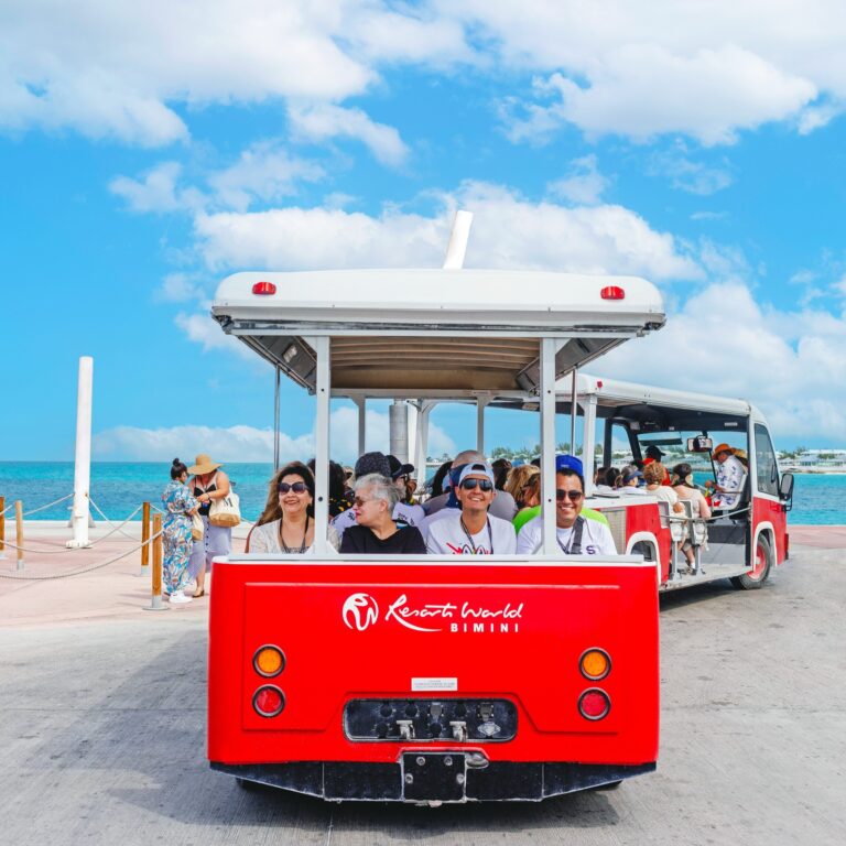 449729116 874620101367951 1698448528239257932 n 768x768