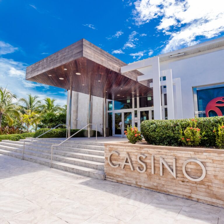 456045416 904687821694512 1426143346099813544 n 768x768