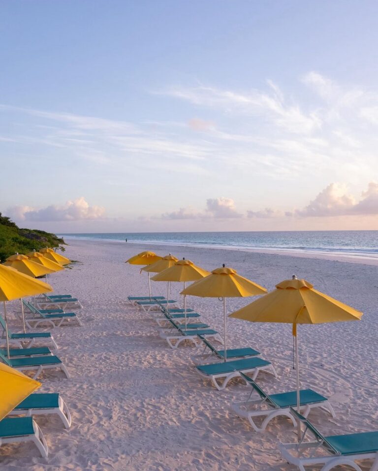 458652268 18458574961058632 5247196487773049808 n 768x956