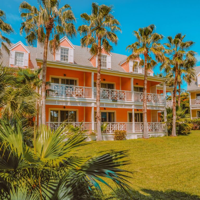 459445018 18459734119058632 1608011230068991311 n 768x768