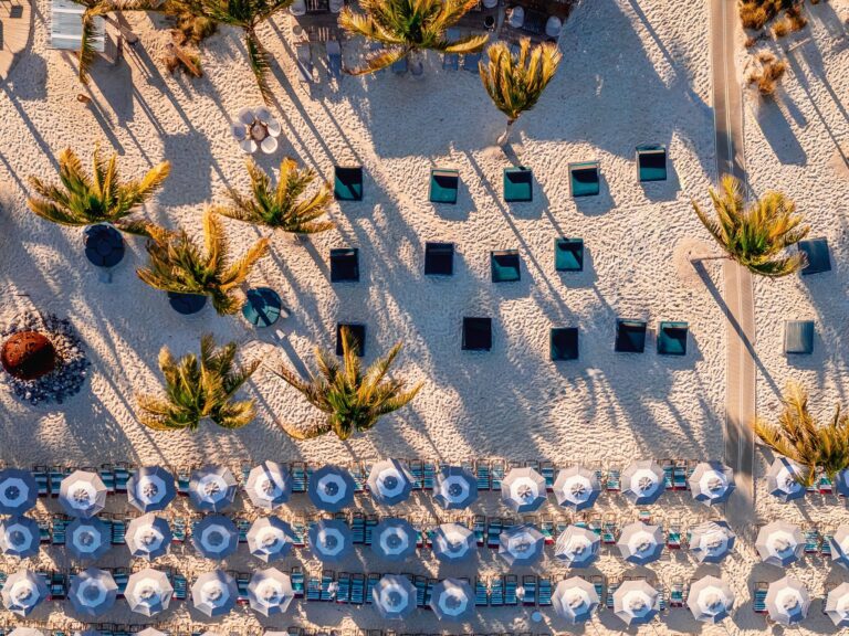 461154262 931727845657176 7330434326512974331 n 768x576