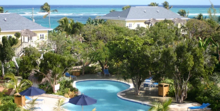 Screenshot 2024 10 06 194954 768x388