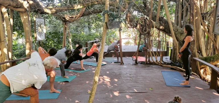 Screenshot 2024 10 06 195231 768x361